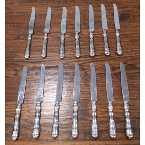 Southern Living Gallery Silverware Flatware 9 1/4" Knives Lot of 14
